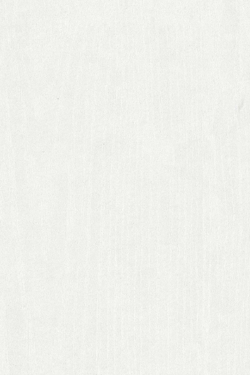 00384-tertio-DP200-Frontal 00384-tertio-DP200-Frontal
