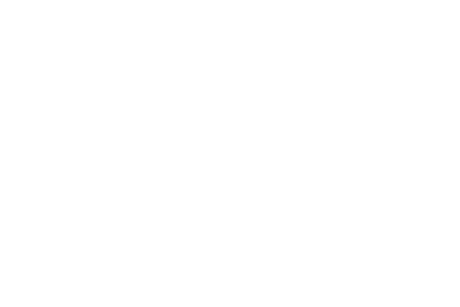 Willnauer - seit 1971